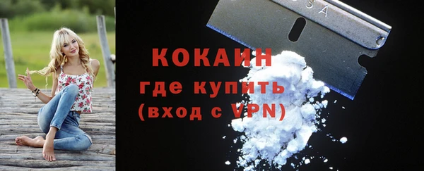 индика Остров