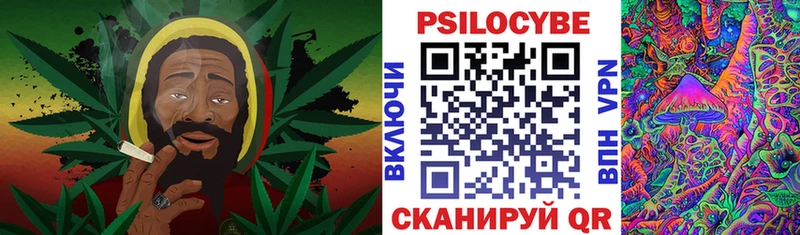 Галлюциногенные грибы Magic Shrooms  Фокино 
